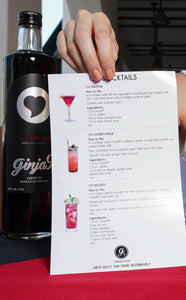 Ginja9-  5 Minis Bucket + 2 Coasters + Cocktail Recipes Flyer