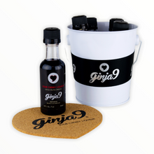 Load image into Gallery viewer, Ginja9-  5 Minis Bucket + 2 Coasters + Cocktail Recipes Flyer
